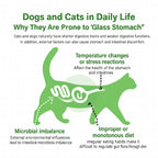 Infographic showing why dogs and cats develop sensitive or ‘glass stomachs’ due to temperature changes, microbial imbalance, and improper diet, promoting the benefits of WelTeil Freeze-Dried Probiotic Bites for digestive health.