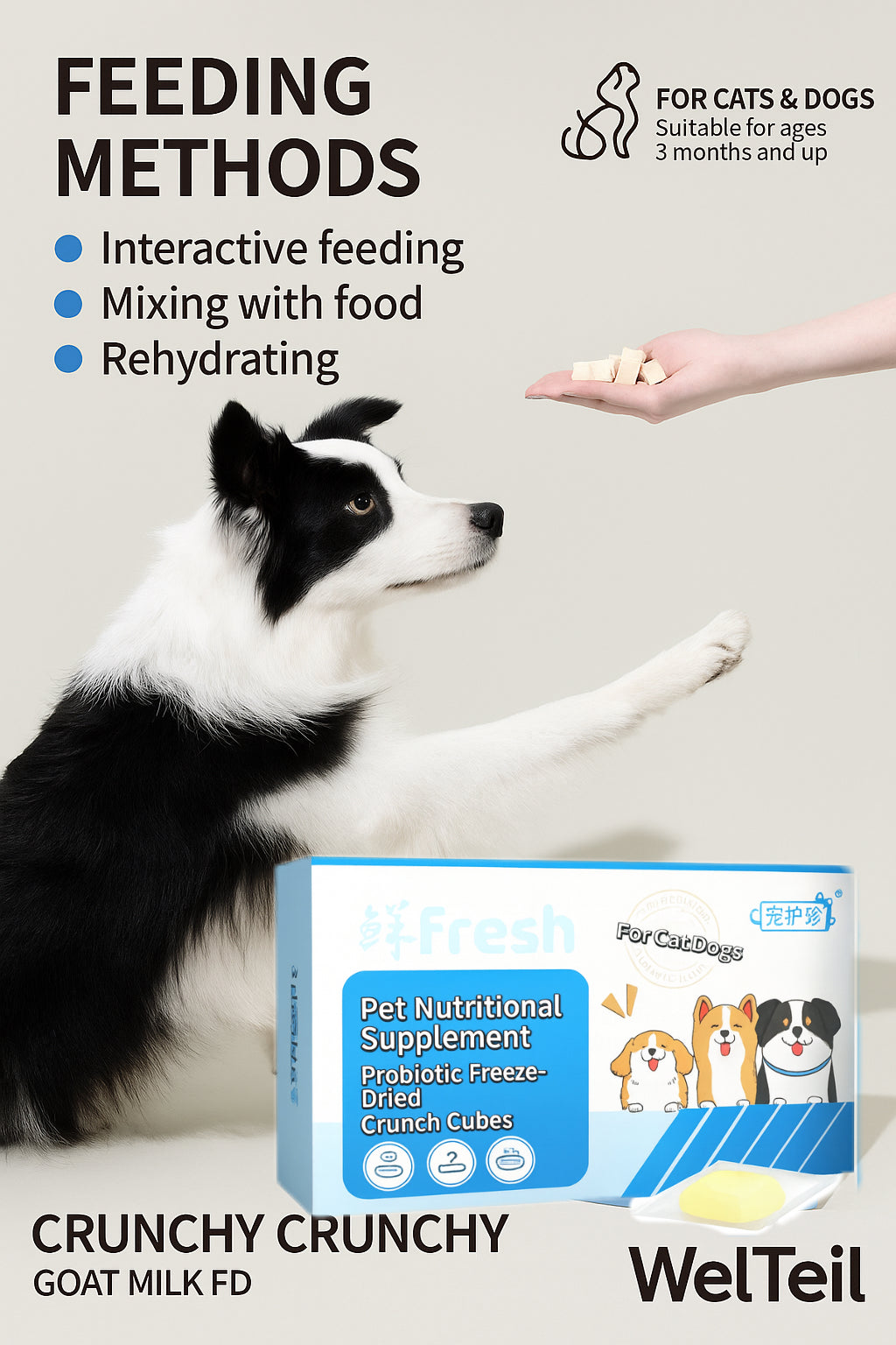 Freeze-Dried Probiotics