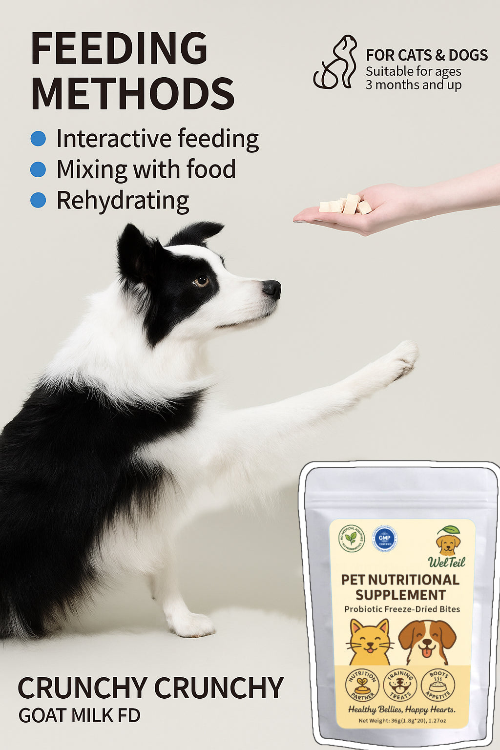 Dog enjoying WelTeil Freeze-Dried Probiotic Bites during interactive feeding, natural probiotic supplement for digestive and immune support.