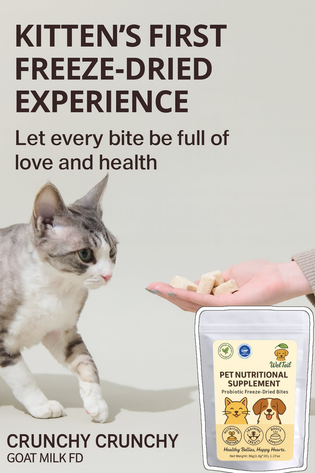 Cat experiencing WelTeil Freeze-Dried Probiotic Bites, every bite full of love and health, natural probiotic support for pets.